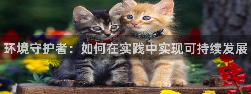 彩名堂为啥不准了乱变：环境守护者：如