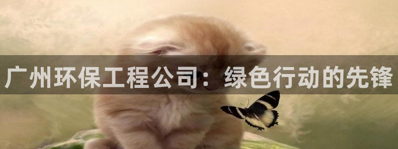 彩名堂怎么不能用了：广州环保工程公司