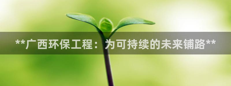 彩名堂客户端加拿大：**广西环保工程