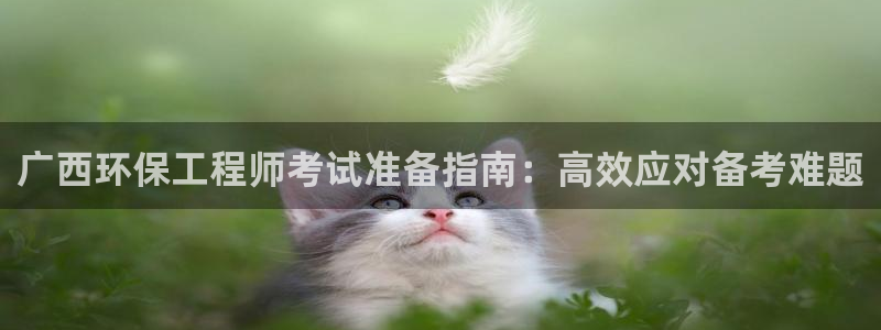 正规彩名堂官网计划01：广西环保工程