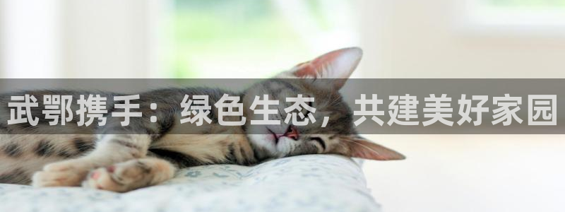 彩名堂还能用吗：武鄂携手：绿色生态，