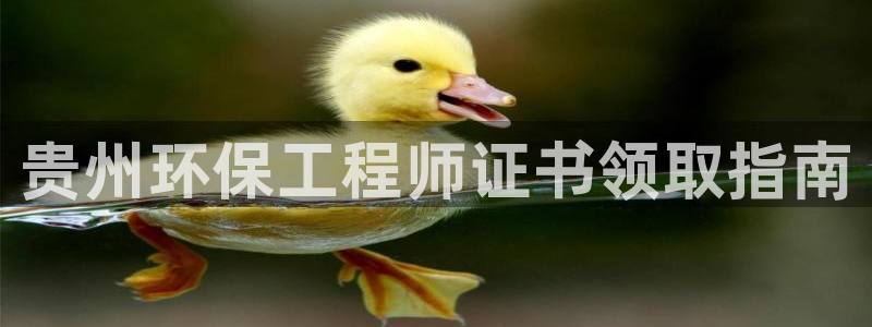 彩名堂官网计划01：贵州环保工程师证书领取指南