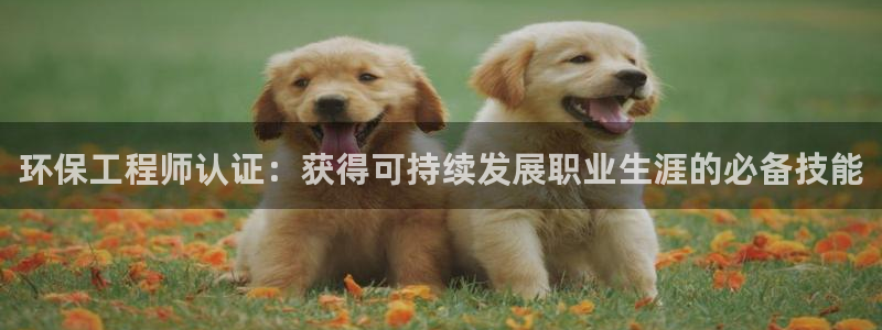 彩名堂还能用吗：环保工程师认证：获得可持续发展职业生涯的必备