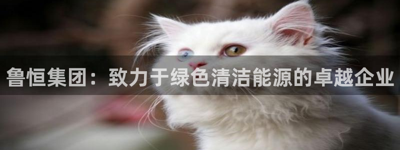 彩名堂是不是坑人的东西：鲁恒集团：致力于绿色清洁能源的卓越企