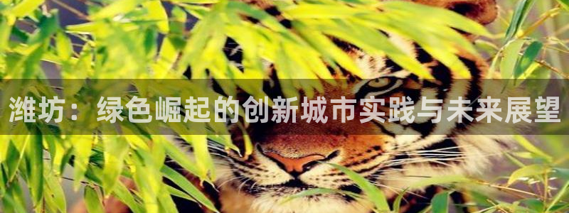 彩名堂免费计划使用方法是什么：潍坊：绿色崛起的创新城市实践与