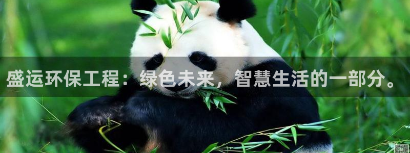 彩名堂怎么买准确率高：盛运环保工程：绿色未来，智慧生活的一部