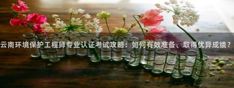 彩名堂幸运飞船计划：云南环境保护工程师专业认证考试攻略：如何