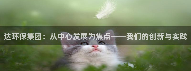 彩名堂是不是坑人的东西：达环保集团：