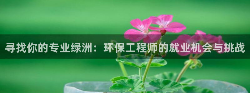 彩名堂：寻找你的专业绿洲：环保工程师的就业机会与挑战